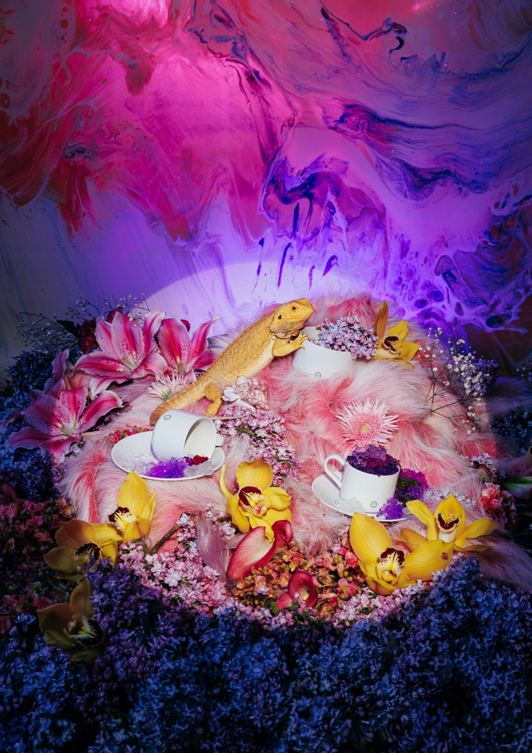 Tomorrow's Heirlooms for Křehký