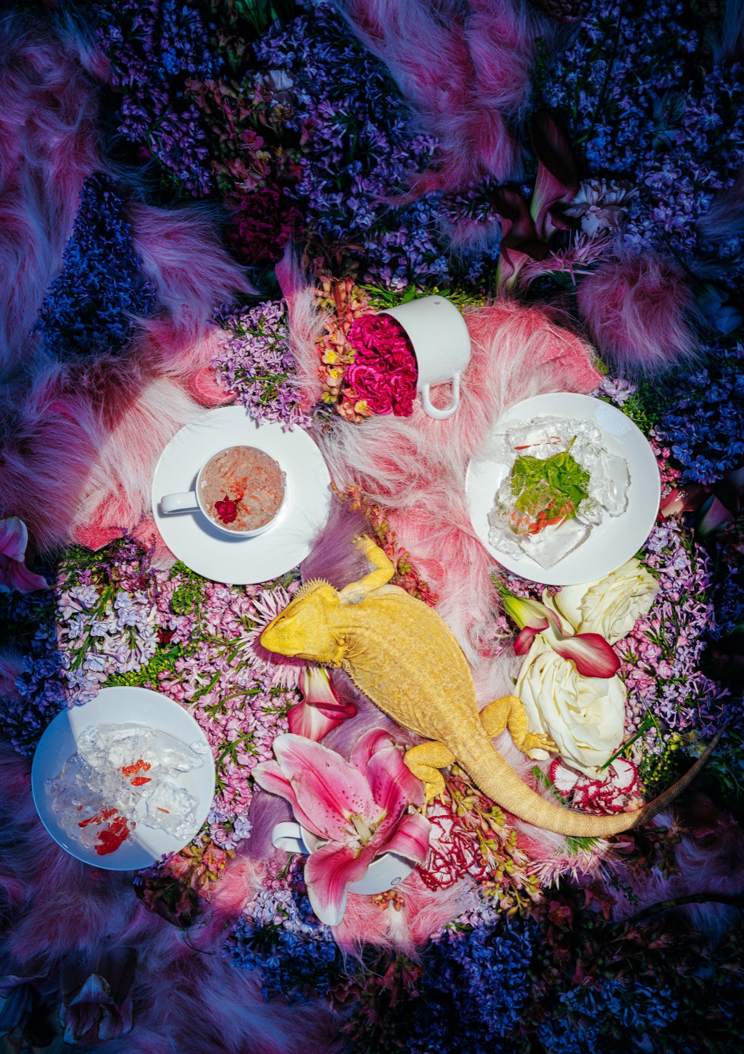 Tomorrow's Heirlooms for Křehký