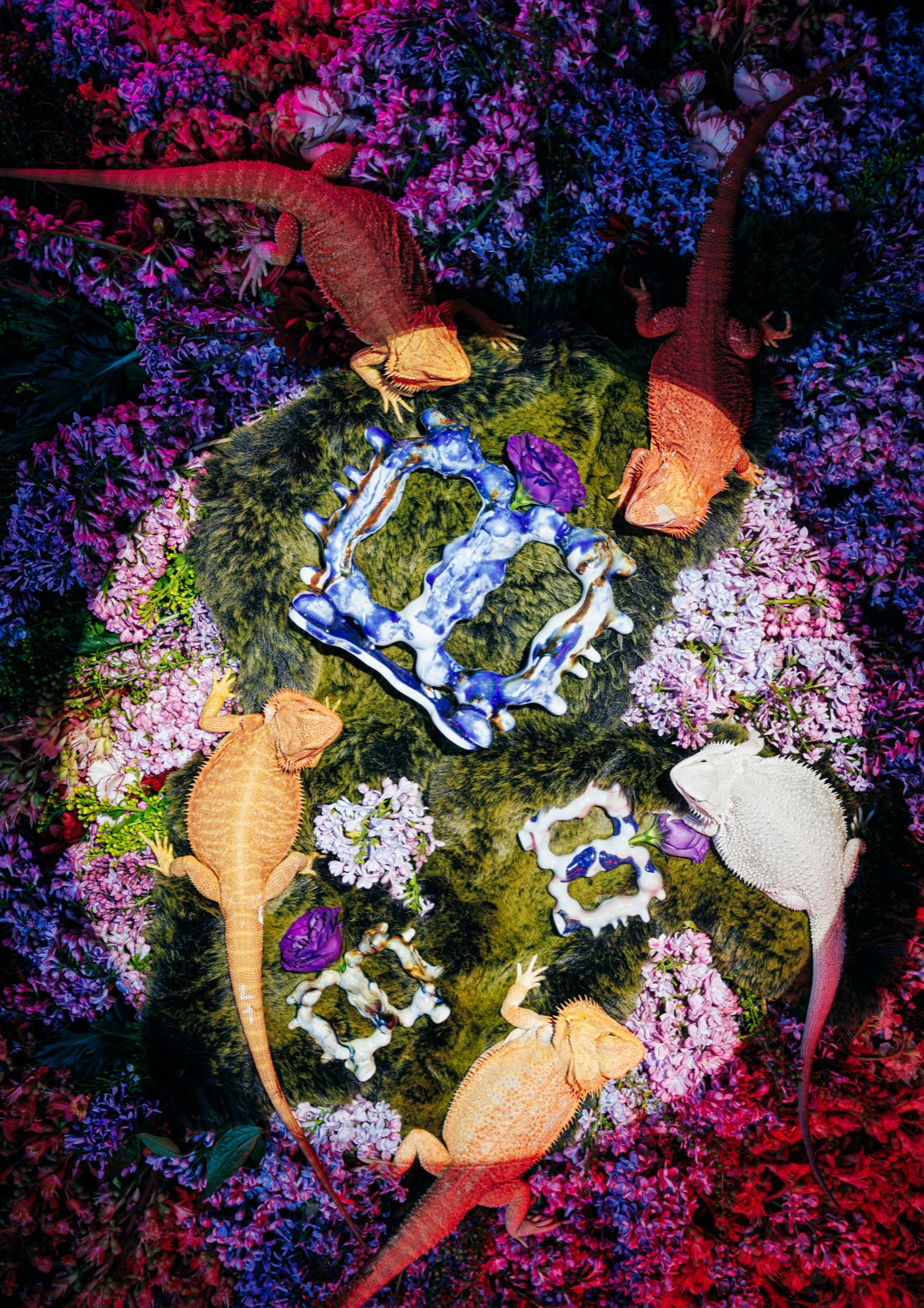 Tomorrow's Heirlooms for Křehký