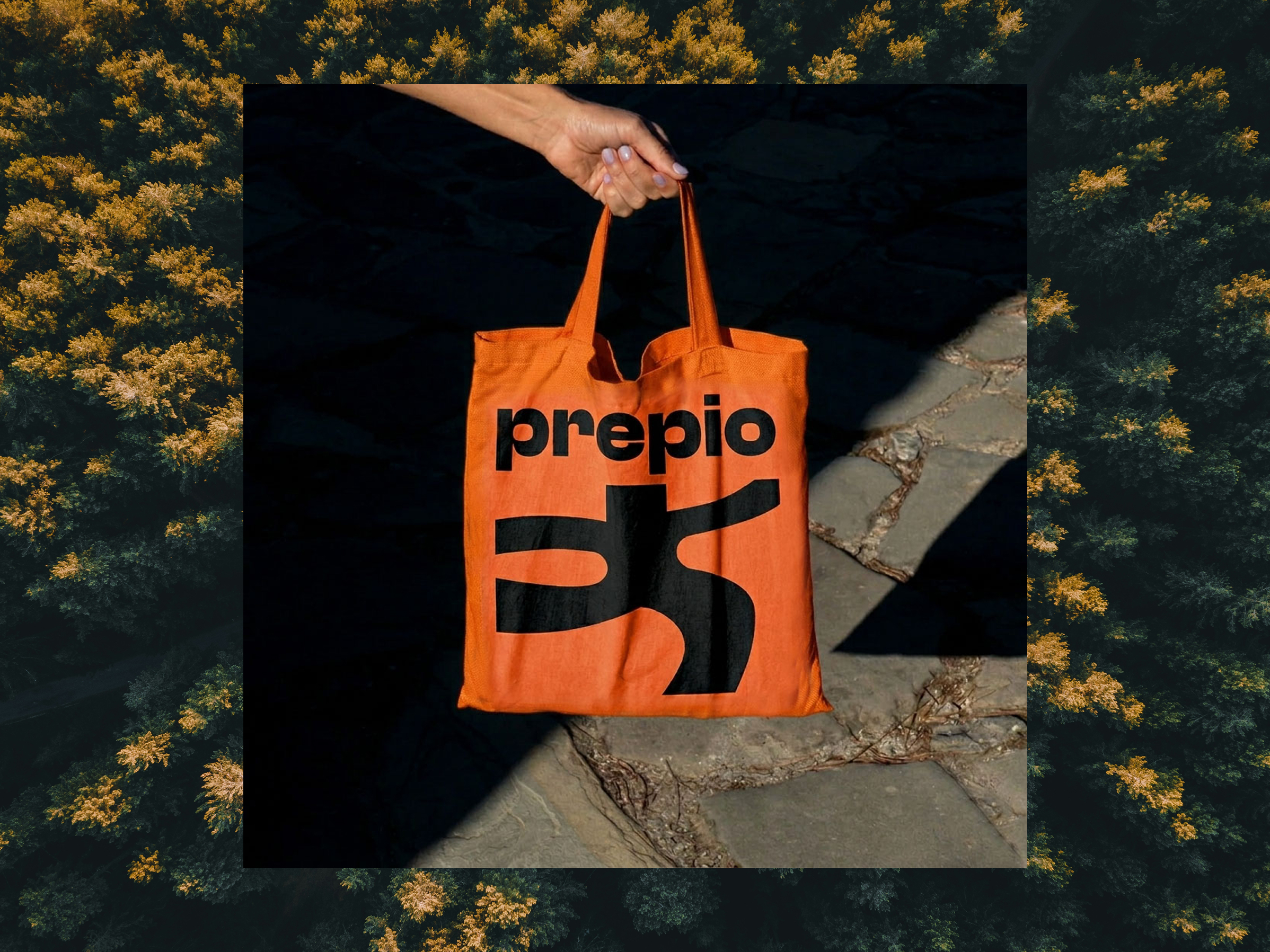 Prepio